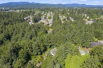 enlarge photo