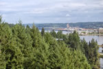 enlarge photo