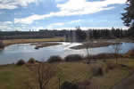 enlarge photo