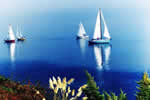 enlarge photo