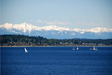 Link to Newest Listing