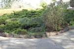 enlarge photo