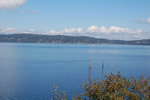 enlarge photo